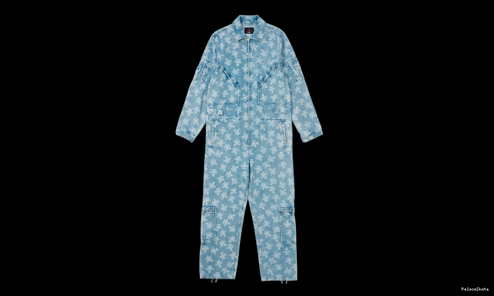 Cheap Palace Flight 